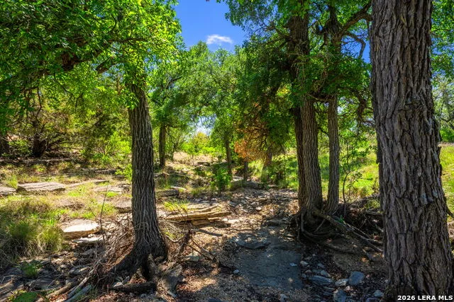 853 ELM RIDGE RD Fredericksburg, TX 78624