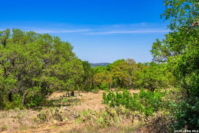 853 ELM RIDGE RD Fredericksburg, TX 78624