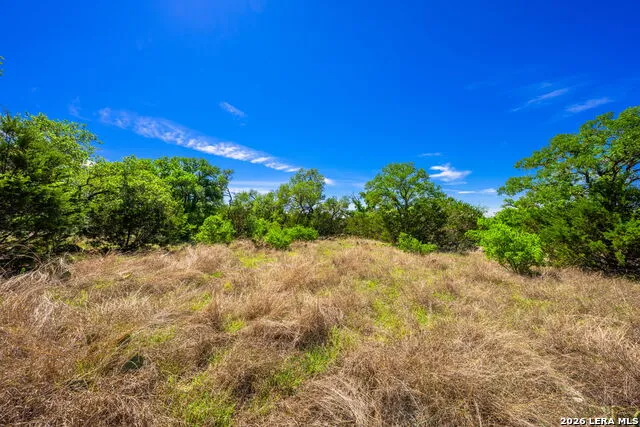 853 ELM RIDGE RD Fredericksburg, TX 78624