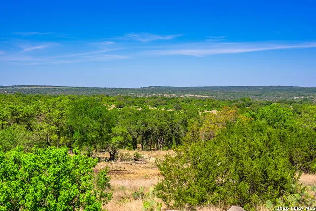 853 ELM RIDGE RD Fredericksburg, TX 78624