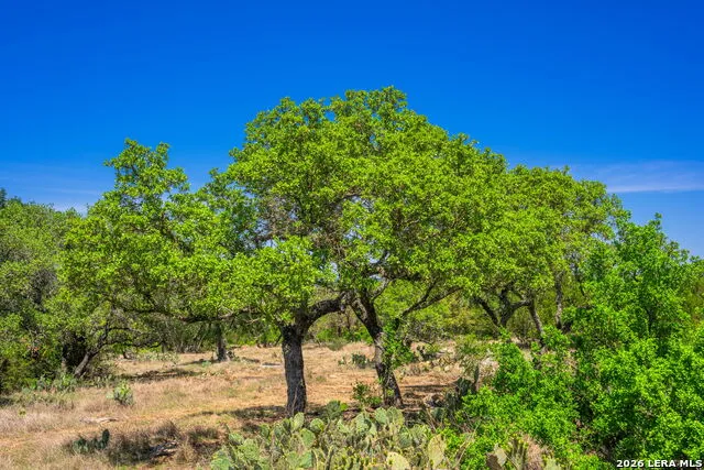 853 ELM RIDGE RD Fredericksburg, TX 78624