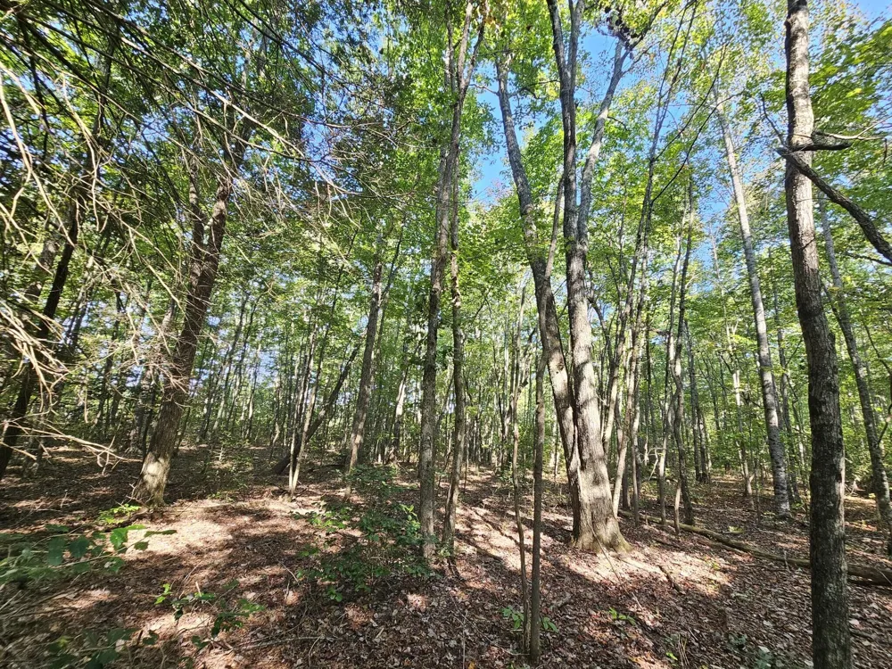 108 Sr Gruetli Laager, TN 37339