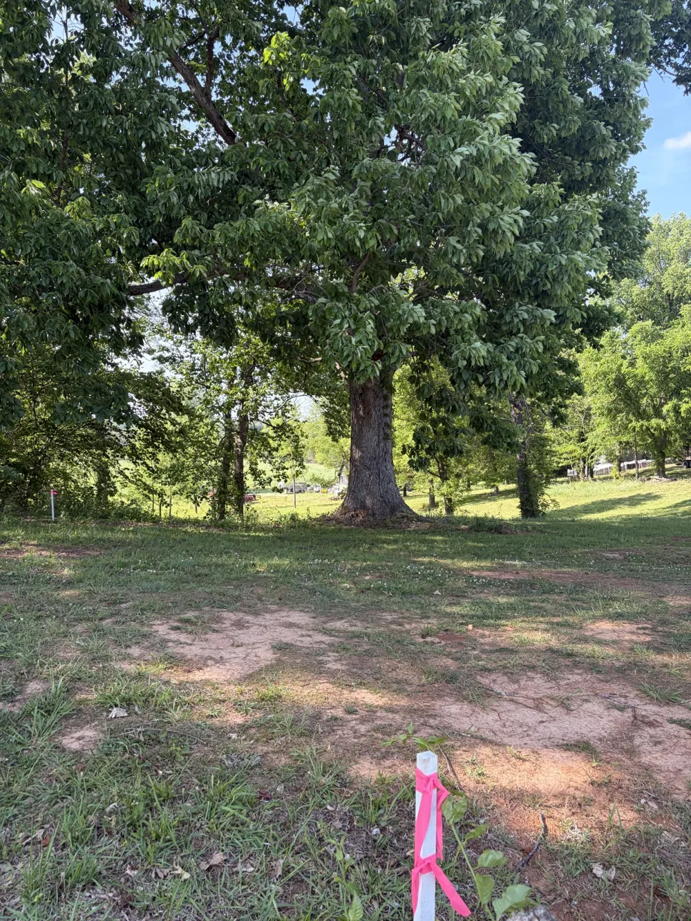 0 Old Morrison Road McMinnville, TN 37110