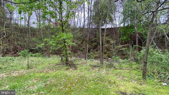 201 HOOVER ROAD Waterfall, PA 16689