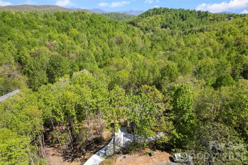 233 Arcadia Falls Way Black Mountain, NC 28711