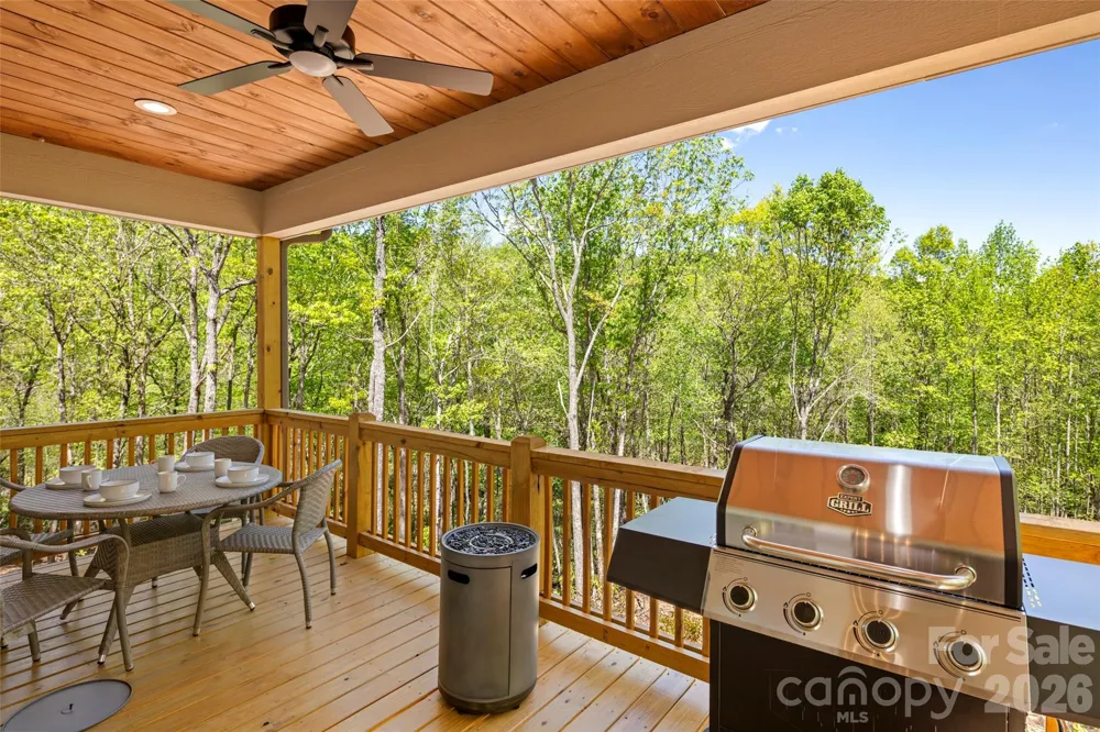 233 Arcadia Falls Way Black Mountain, NC 28711