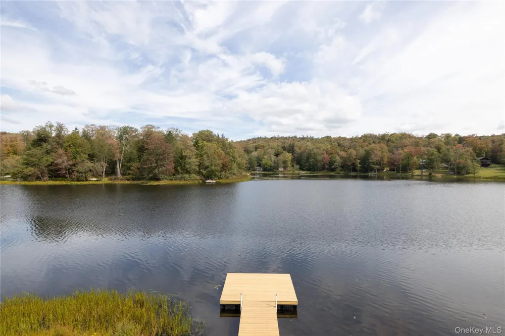212 Trout Brook Road Roscoe, NY 12776
