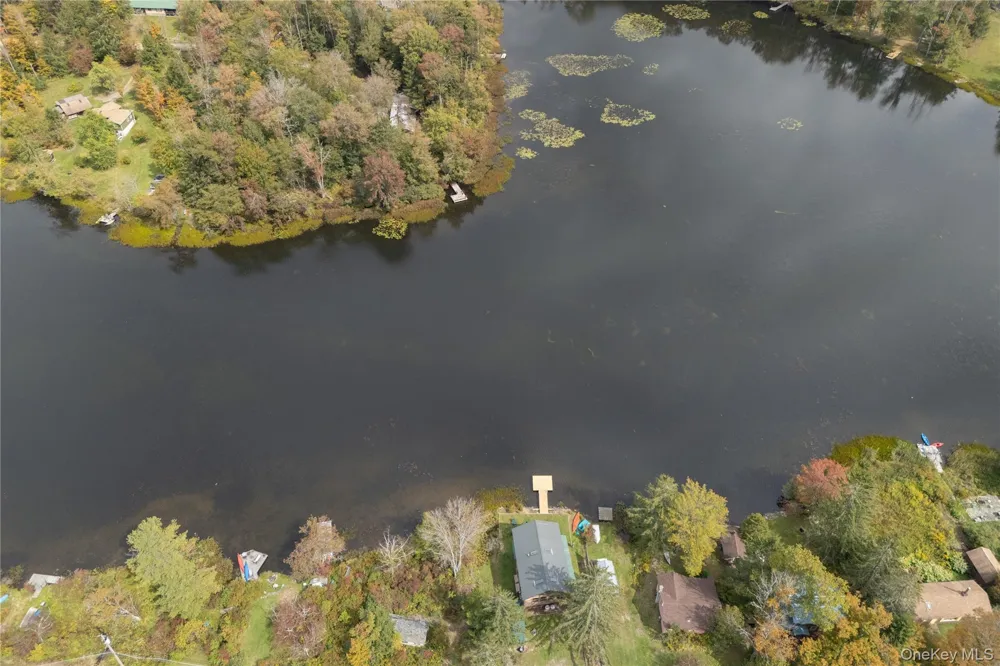 212 Trout Brook Road Roscoe, NY 12776