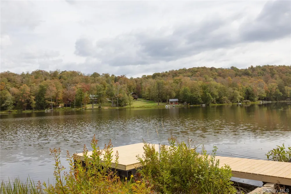 212 Trout Brook Road Roscoe, NY 12776