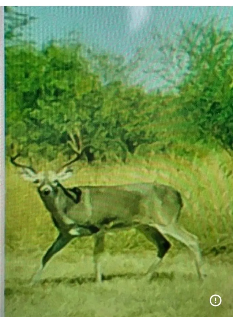 14244 County Road 1144 Sinton, TX 78387