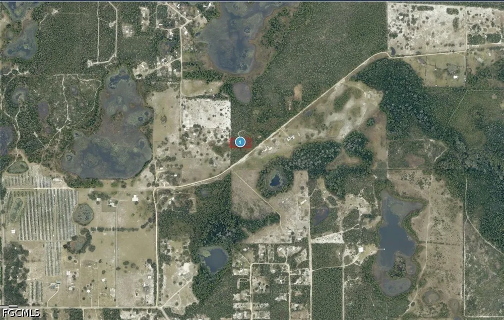 Buck Run Drive Paisley, FL 32767