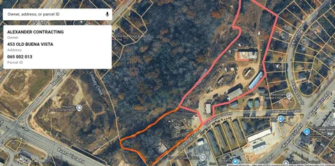 453 Old Buena Vista Rd
