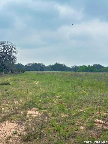 586 Jenschke Poteet, TX 78065