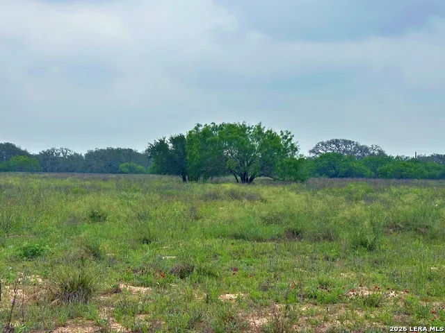 586 Jenschke Poteet, TX 78065