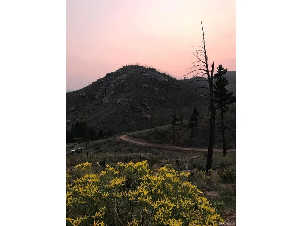 16280 Cochise Trail Pine, CO 80470
