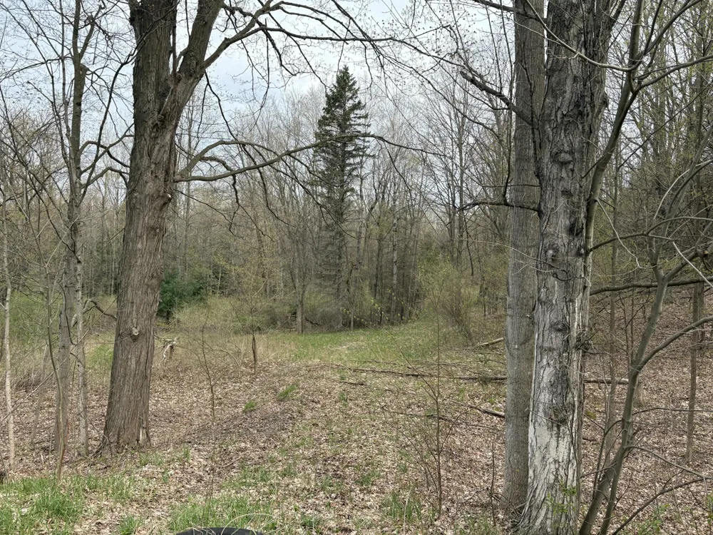 227 W Shelby Road Shelby, MI 49455
