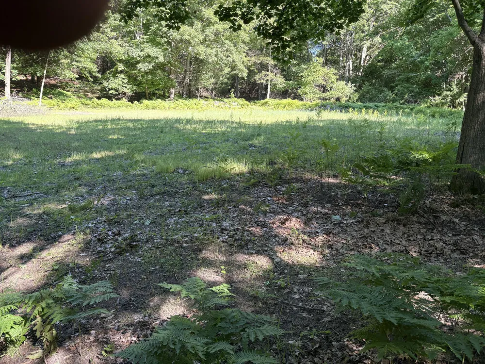 227 W Shelby Road Shelby, MI 49455