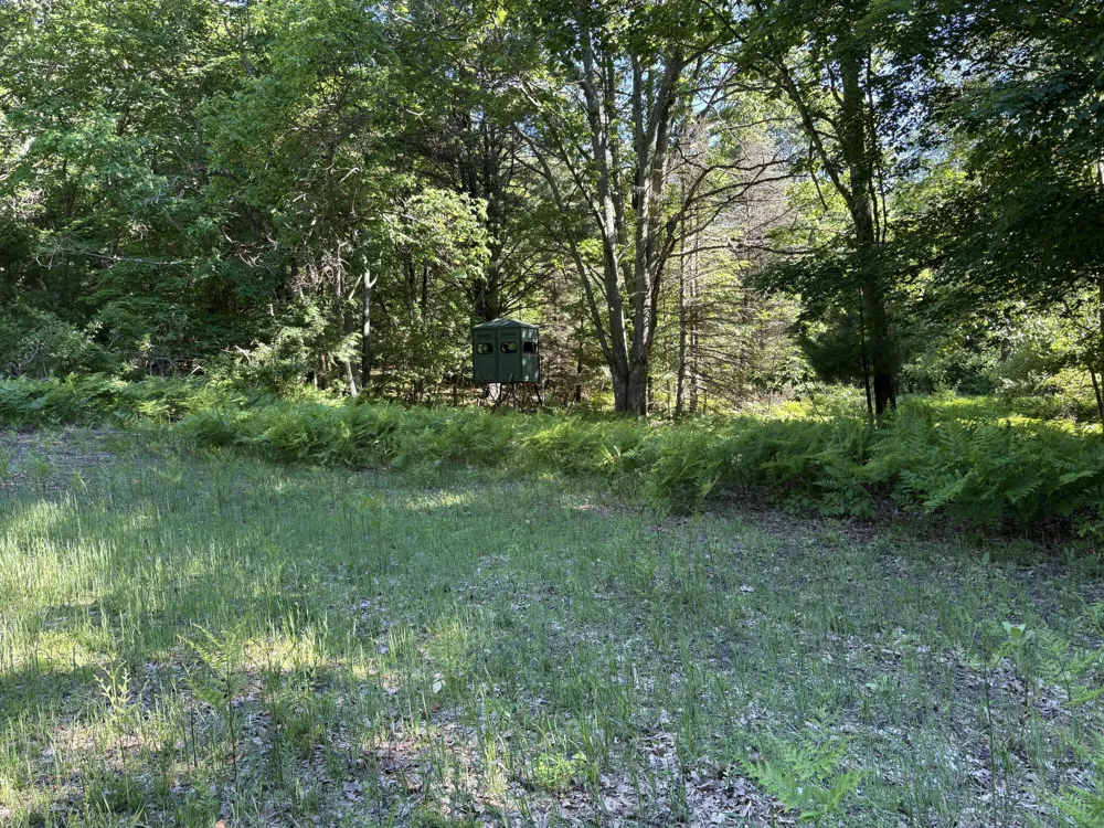 227 W Shelby Road Shelby, MI 49455