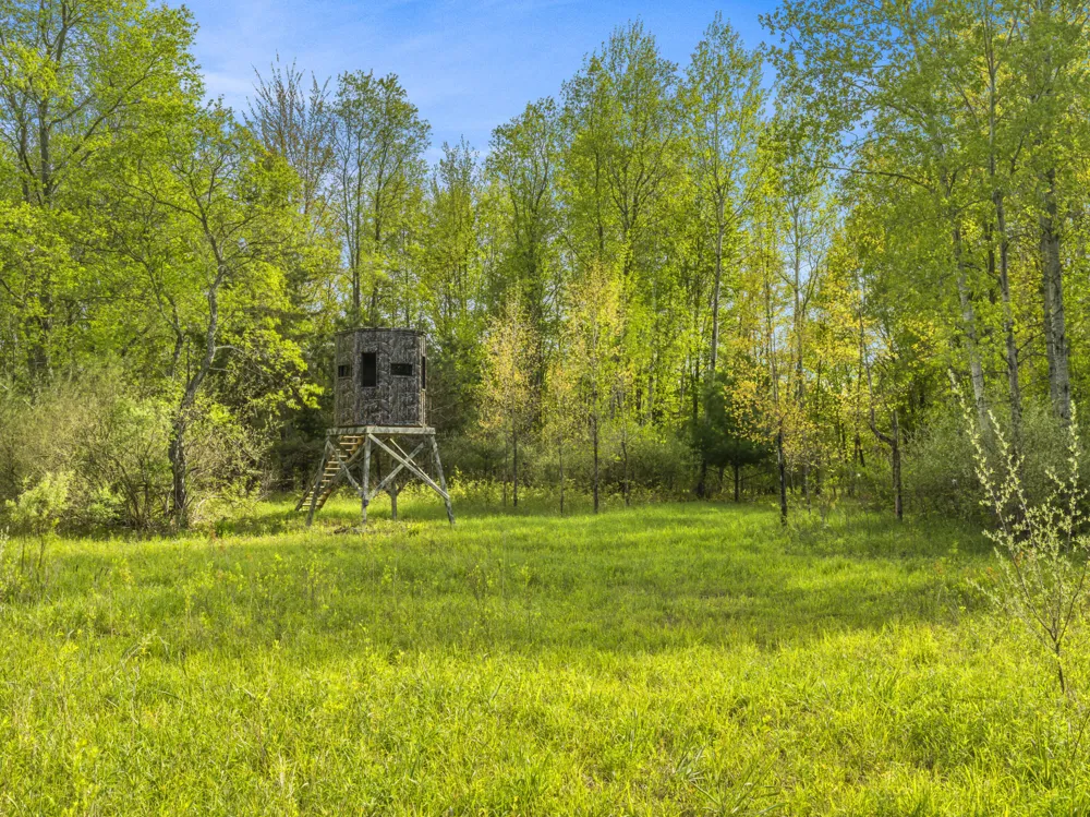 Dzuibanek Road Thompsonville, MI 49683