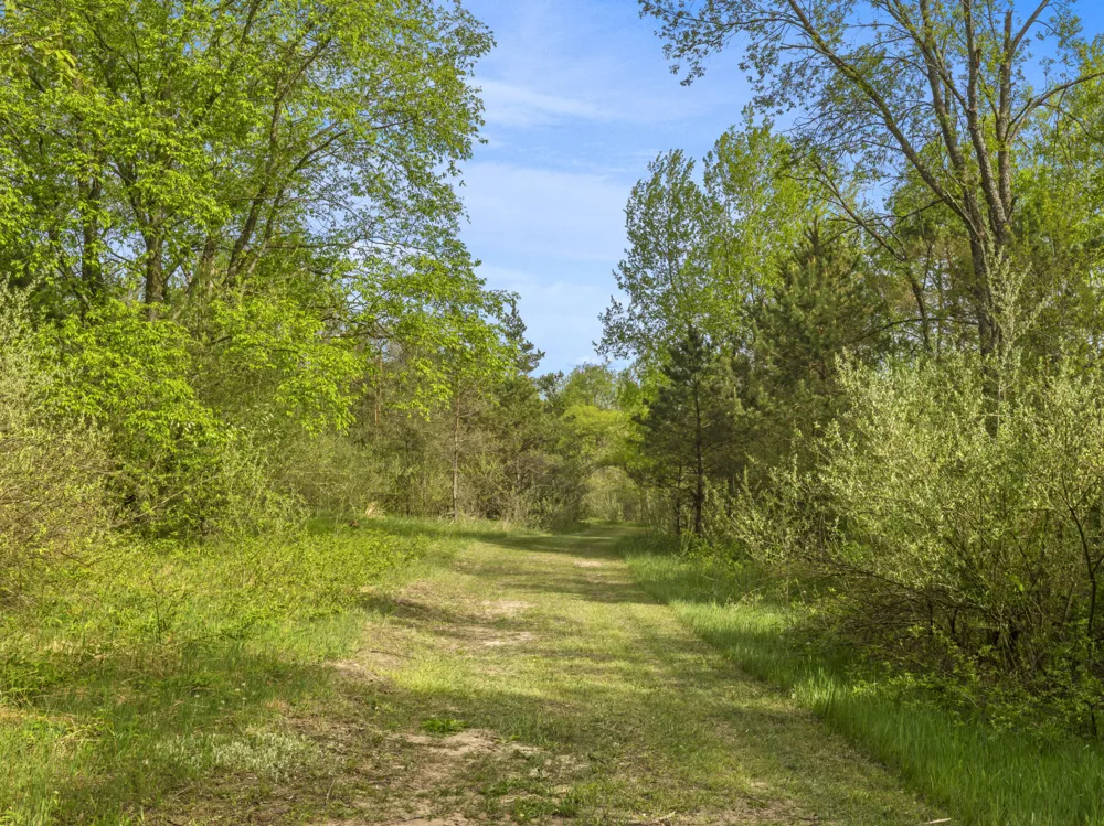 Dzuibanek Road Thompsonville, MI 49683