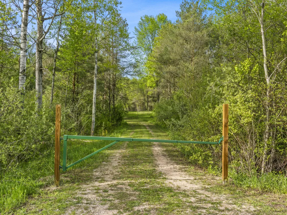 Dzuibanek Road Thompsonville, MI 49683