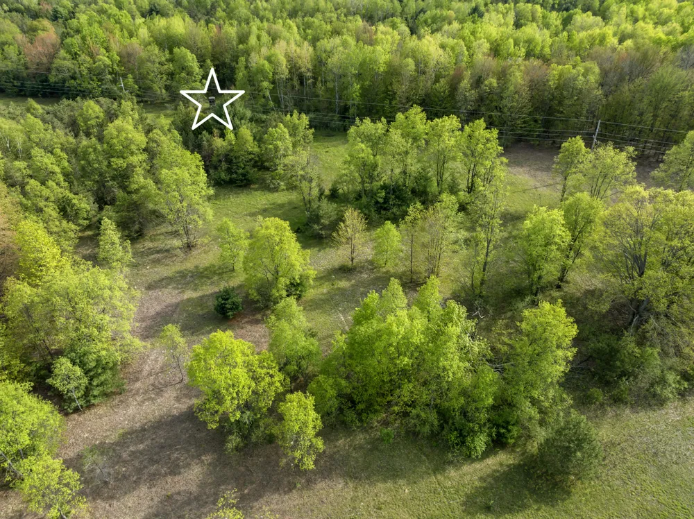 Dzuibanek Road Thompsonville, MI 49683