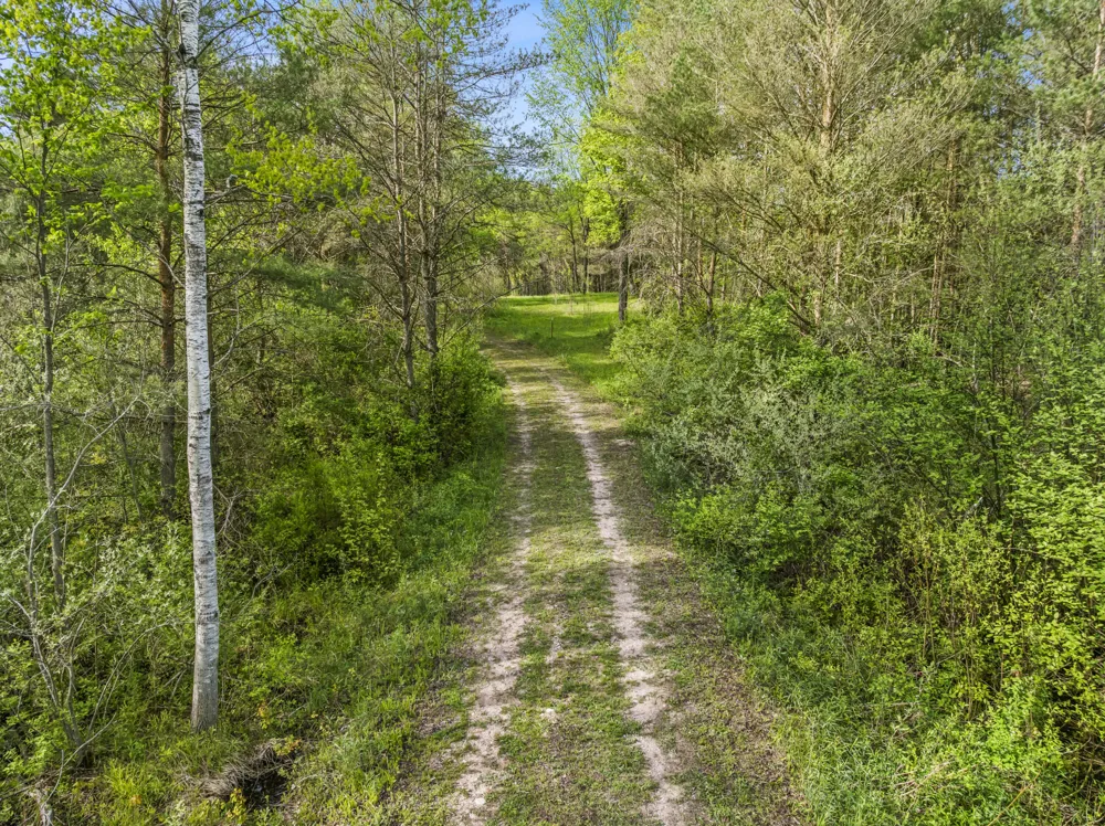 Dzuibanek Road Thompsonville, MI 49683