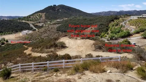 Vista Del Bosque