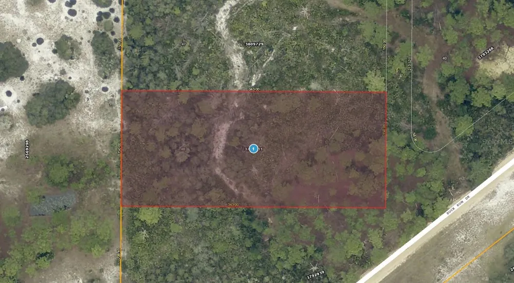 28-17-28-0004-000-03100 BUCK RUN DRIVE Paisley, FL 32767