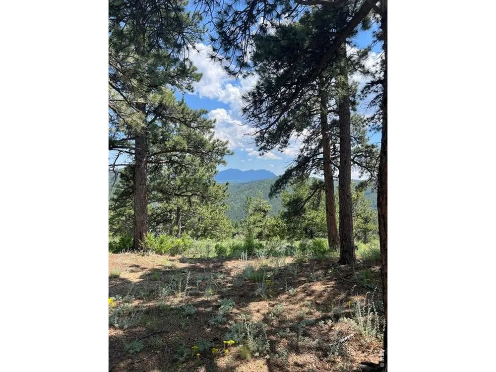 1182 Ridge Road Nederland, CO 80466
