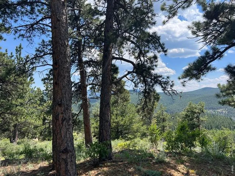 1182 Ridge Road Nederland, CO 80466