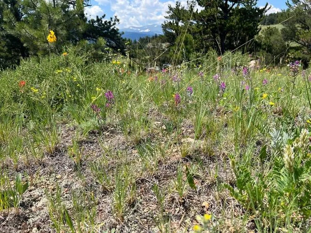 1182 Ridge Road Nederland, CO 80466