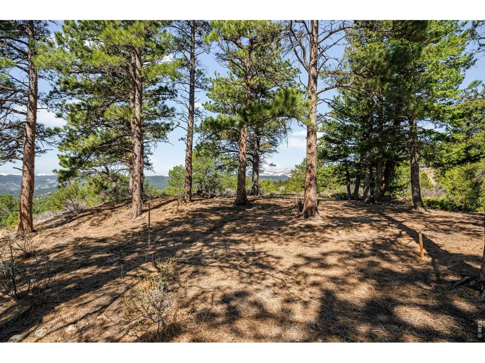 1182 Ridge Road Nederland, CO 80466
