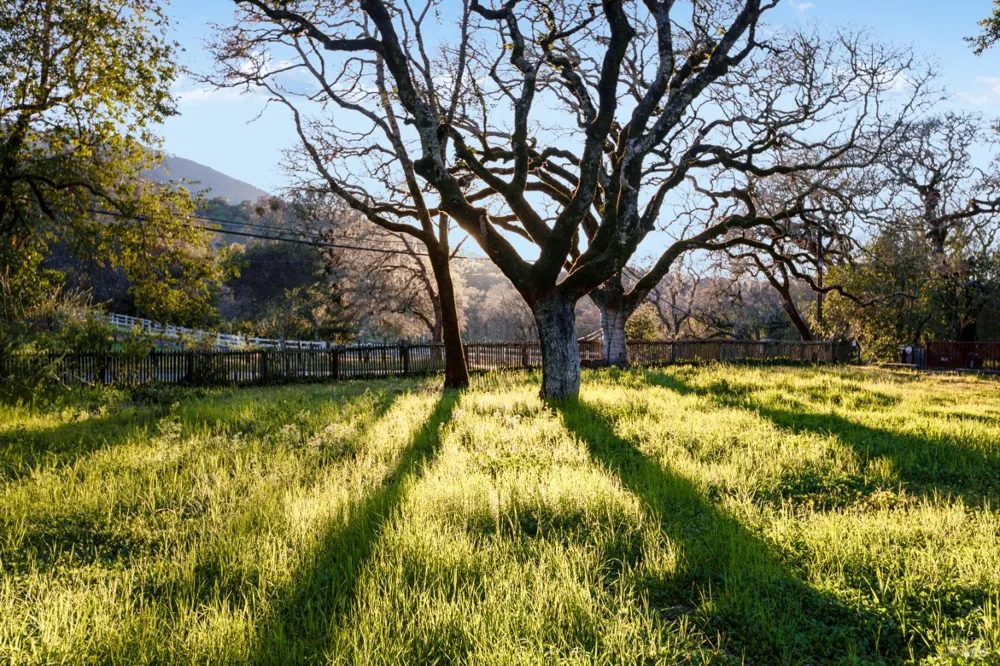 3820 Warm Springs Road Glen Ellen, CA 95442
