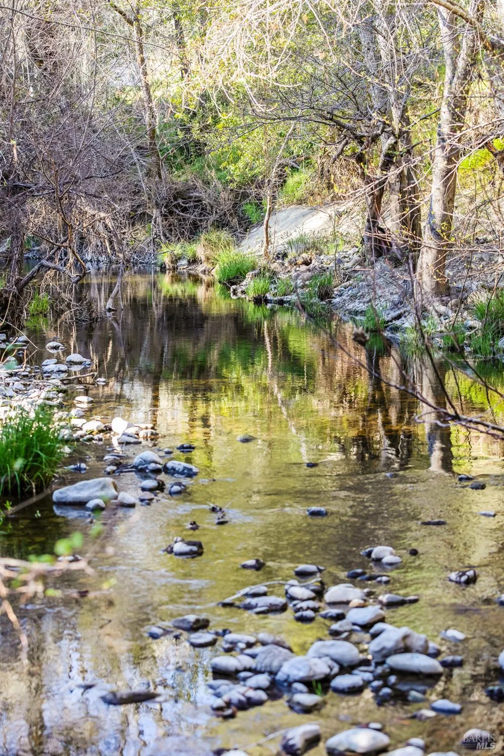 3820 Warm Springs Road Glen Ellen, CA 95442