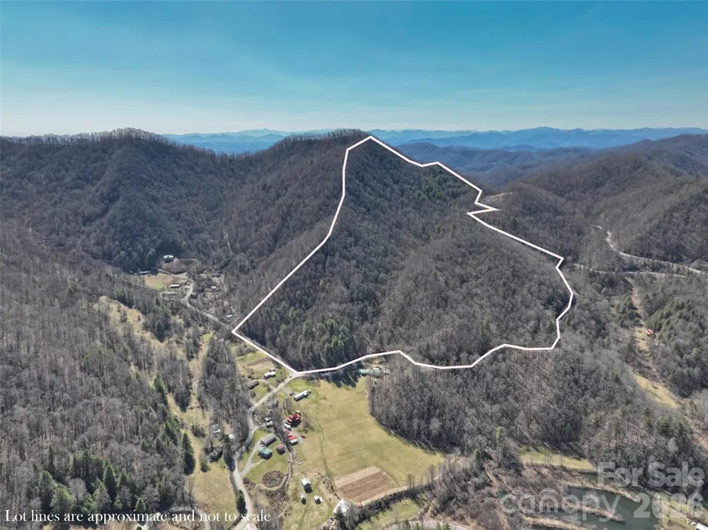 0000 Grapevine Road Marshall, NC 28753