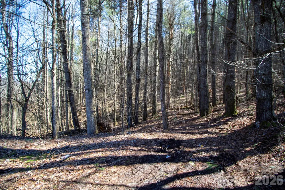 0000 Grapevine Road Marshall, NC 28753