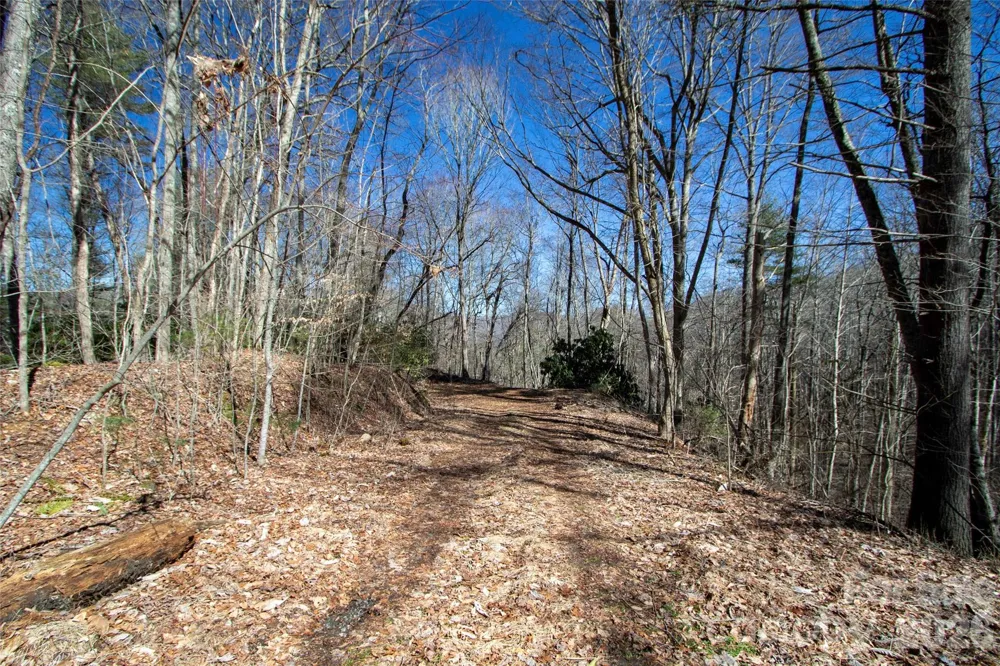 0000 Grapevine Road Marshall, NC 28753