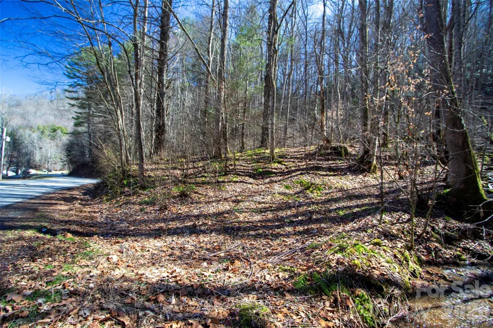 0000 Grapevine Road Marshall, NC 28753