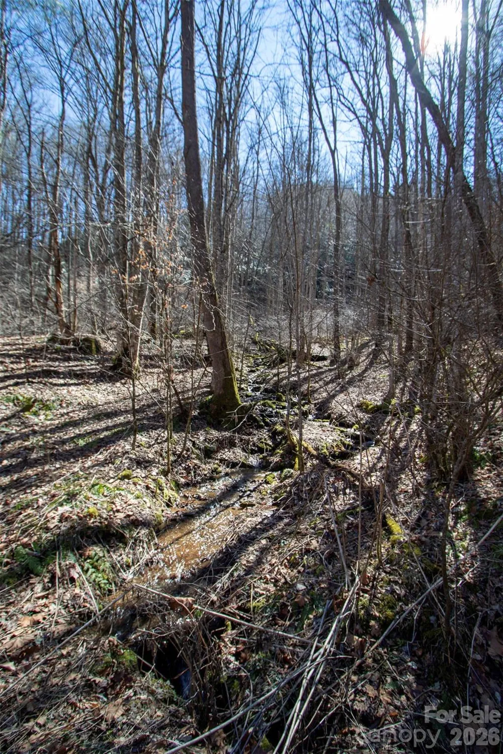 0000 Grapevine Road Marshall, NC 28753