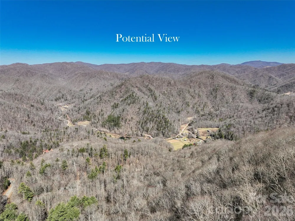 0000 Grapevine Road Marshall, NC 28753