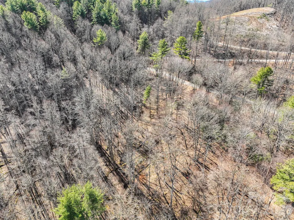 0000 Grapevine Road Marshall, NC 28753