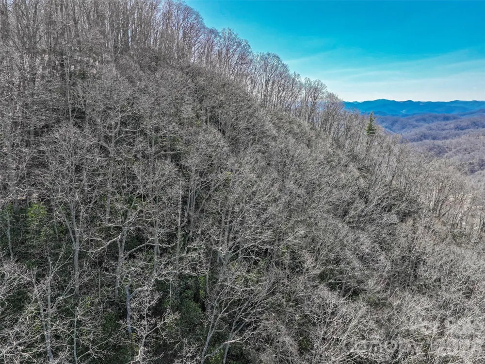 0000 Grapevine Road Marshall, NC 28753