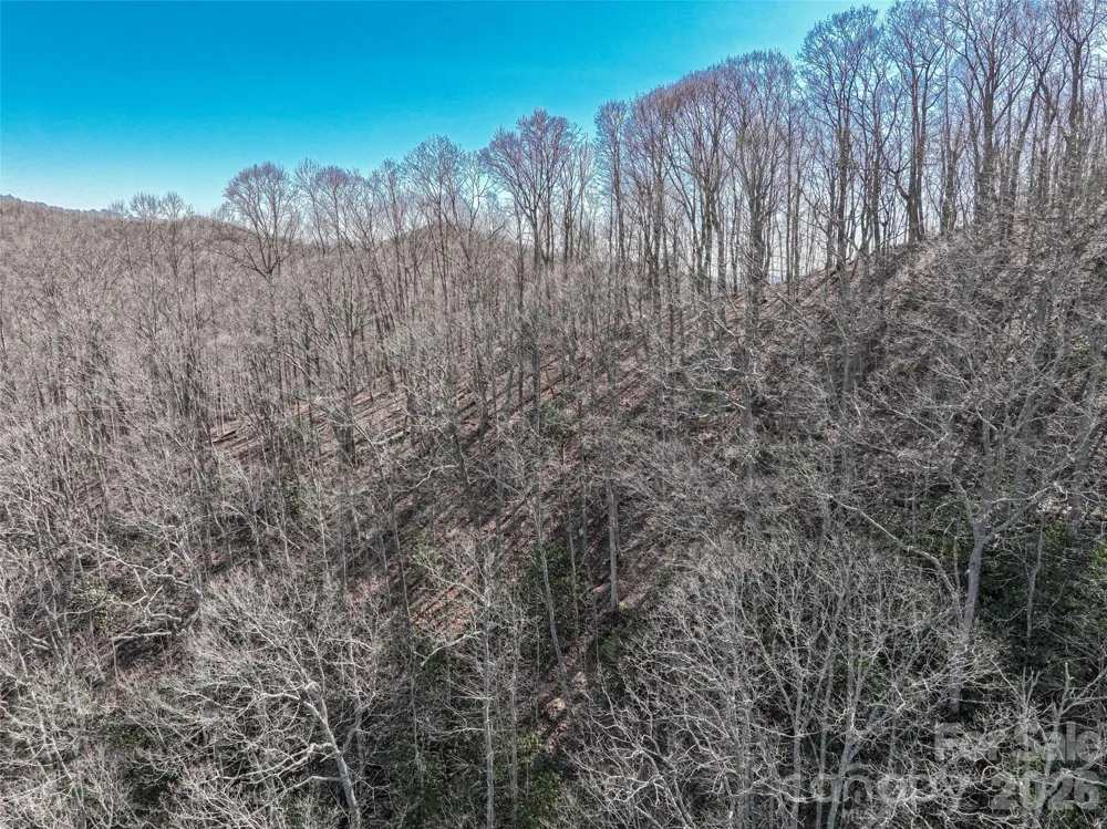 0000 Grapevine Road Marshall, NC 28753