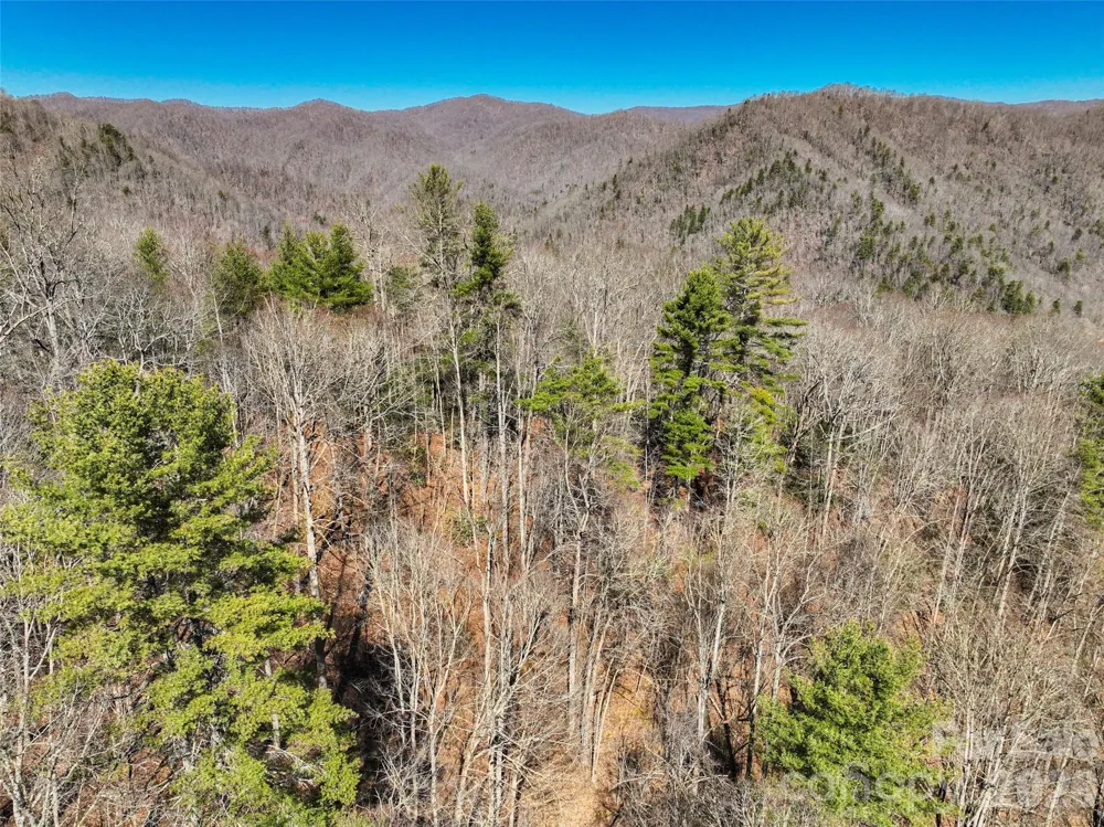 0000 Grapevine Road Marshall, NC 28753