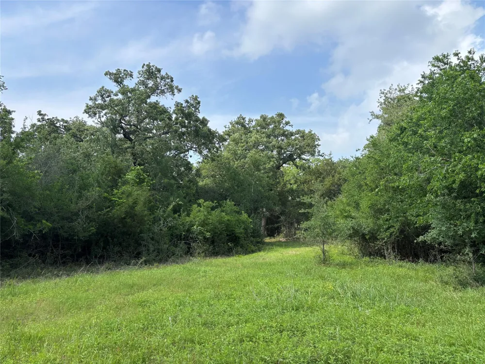 4001 Counsil Lane Brenham, TX 77833