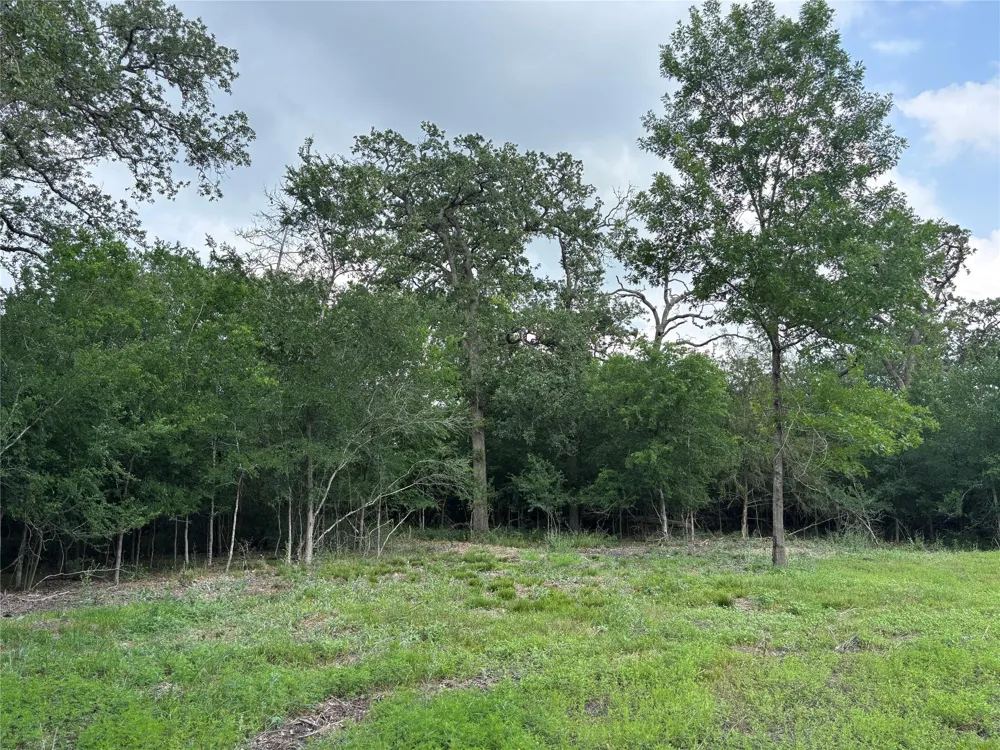 4001 Counsil Lane Brenham, TX 77833