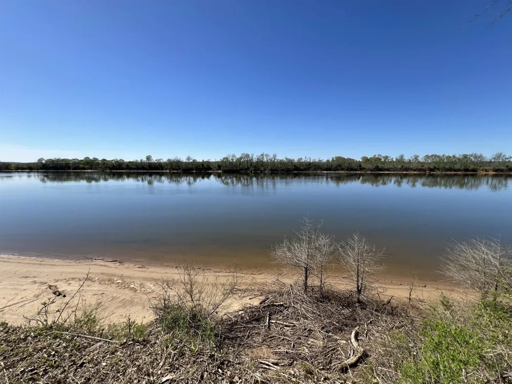 6 CADEN CV Savannah, TN 38372