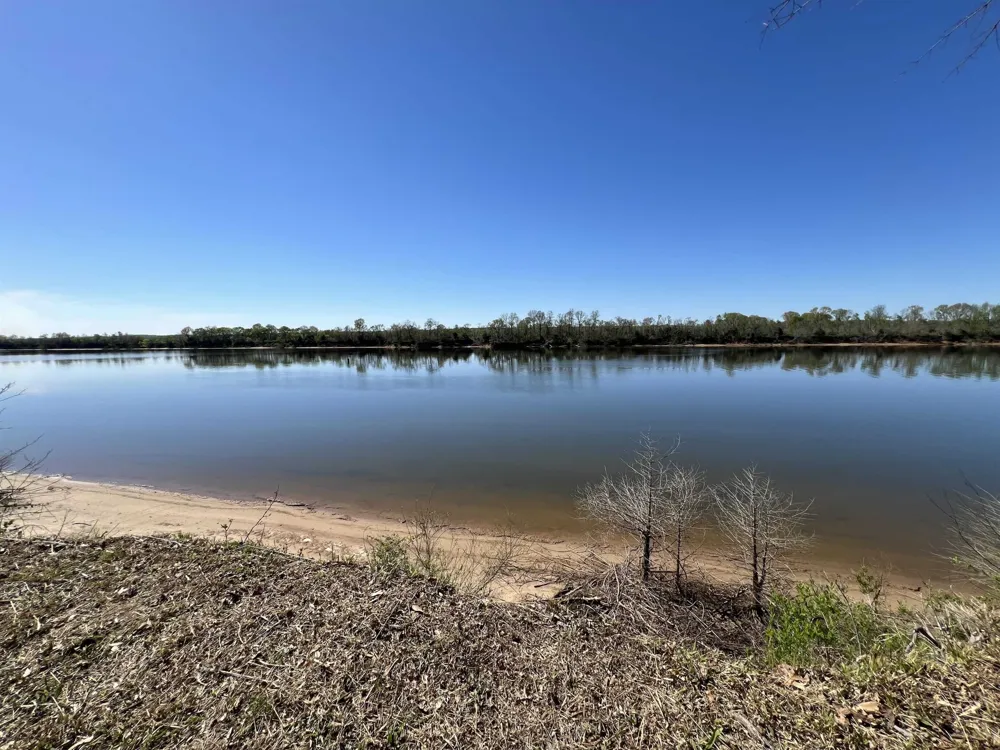 6 CADEN CV Savannah, TN 38372