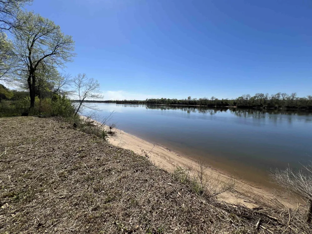 6 CADEN CV Savannah, TN 38372